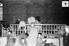 Przesiedleni Żydzi z Płocka w bodzentyńskiej Synagodze 1940 http://www.bodzentyn.net/pages/?p=diary&up=study&upm=refugees German Federal Archive